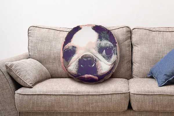 クッション 株式会社イメージ マジック